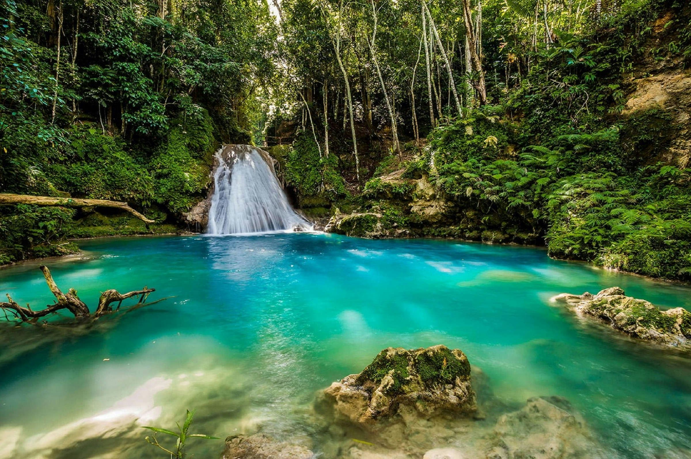 Travel News - jamaica pool