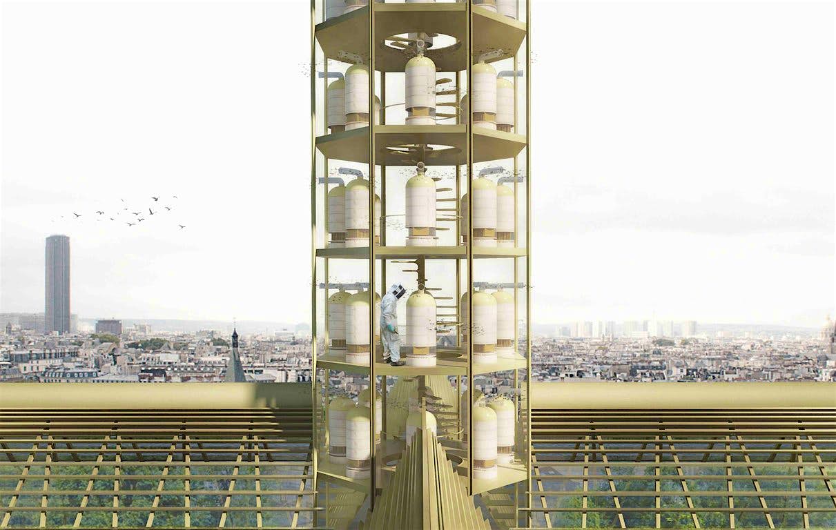Travel News - rNotre Dame Design Proposal Travel News - rNotre Dame Design Proposal