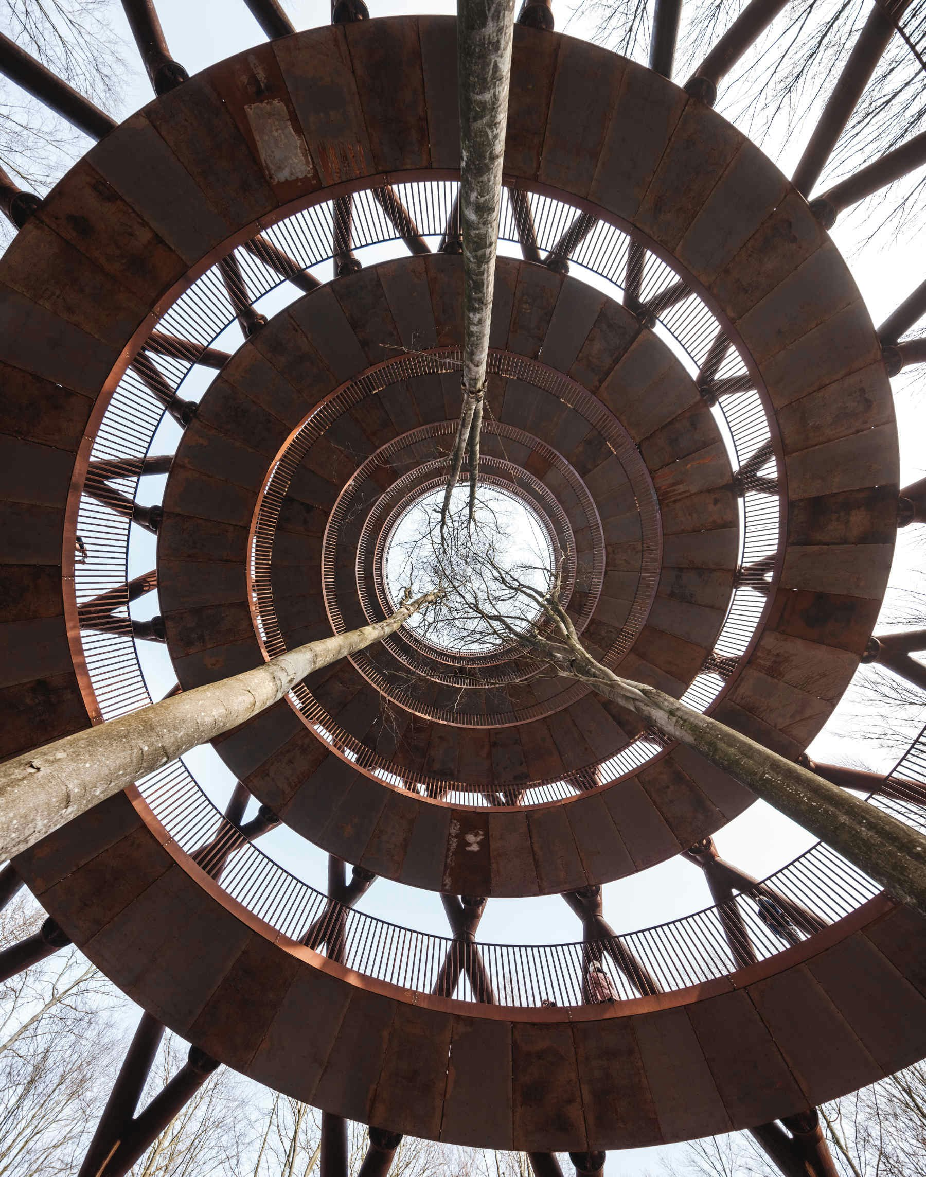 Travel News - spiral treetop walkway zealand