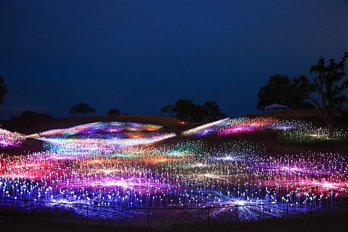 California S Wine Country Is Bathed In Light In An Incredible Art