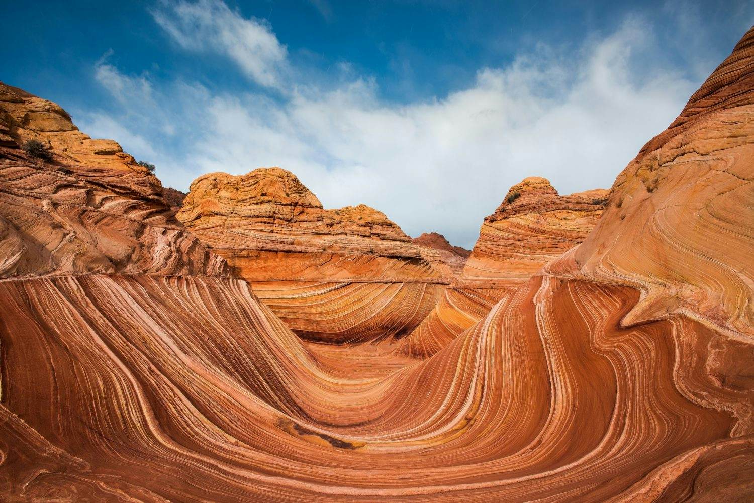 More visitors may be allowed to trek The Wave in Arizona - Lonely Planet
