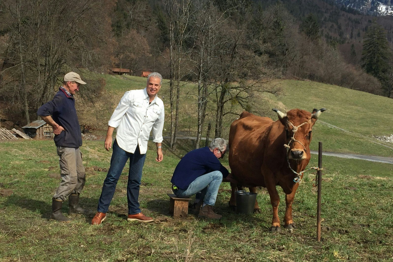 Antthony Bourdain milking a cow in the French Alps