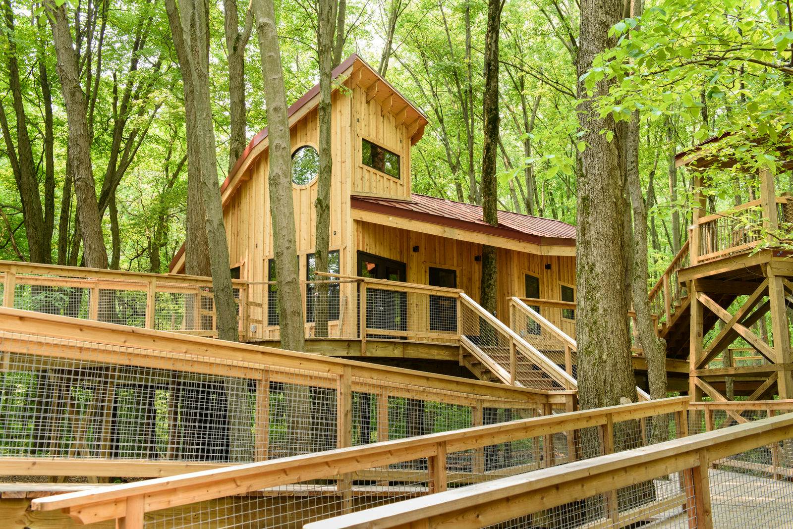 A Nature Park In Ohio Invites Visitors To Sleep In A Treehouse Village   Common Treehouse 2 By Mary Pencheff 