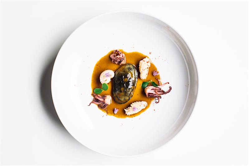 Travel News - Frevo_ Ravioli Calamari_ ( c ) Charissa Fay Travel News - Frevo_ Ravioli Calamari_ ( c ) Charissa Fay