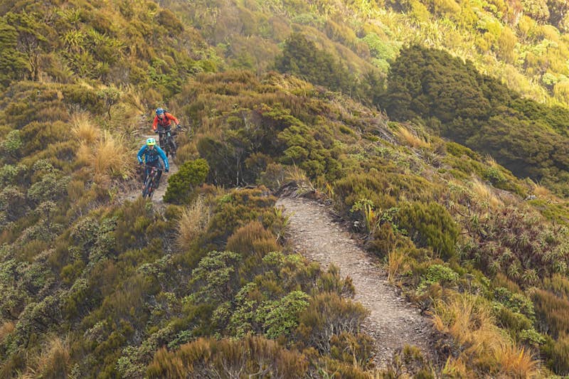 Travel News - Paparoa Track 6 Two people mountain biking or hiking the Paporoa Track