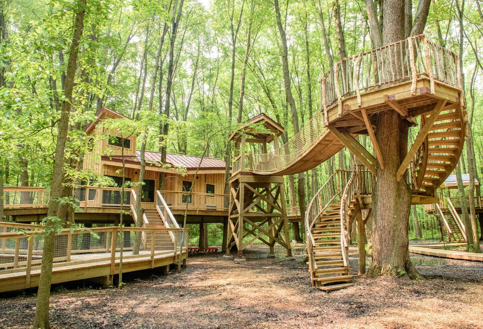 A series of treehouse buildings at Cannaley Treehouse Village, surrounded by bright green forest.