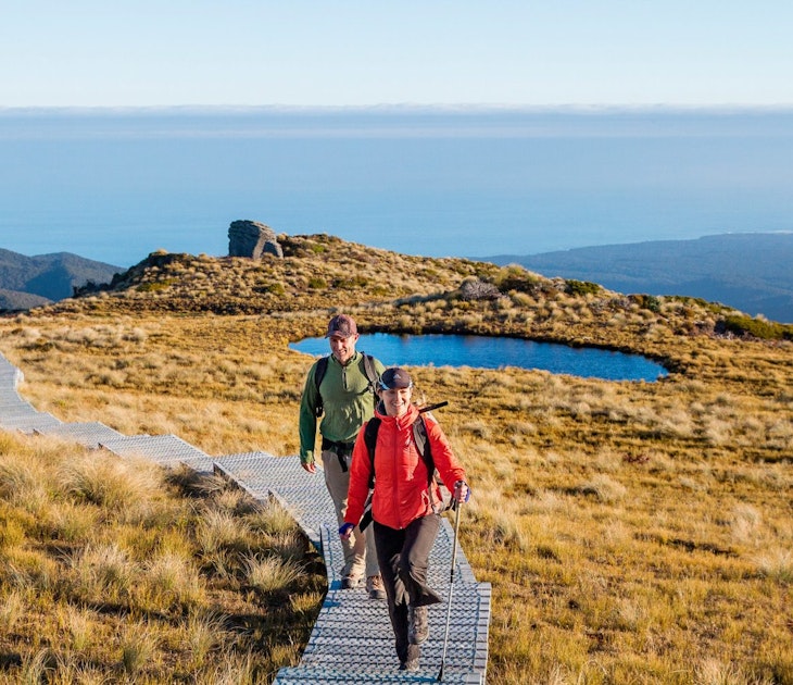 Two people walking on the Hump Ridge Track in New Zealand