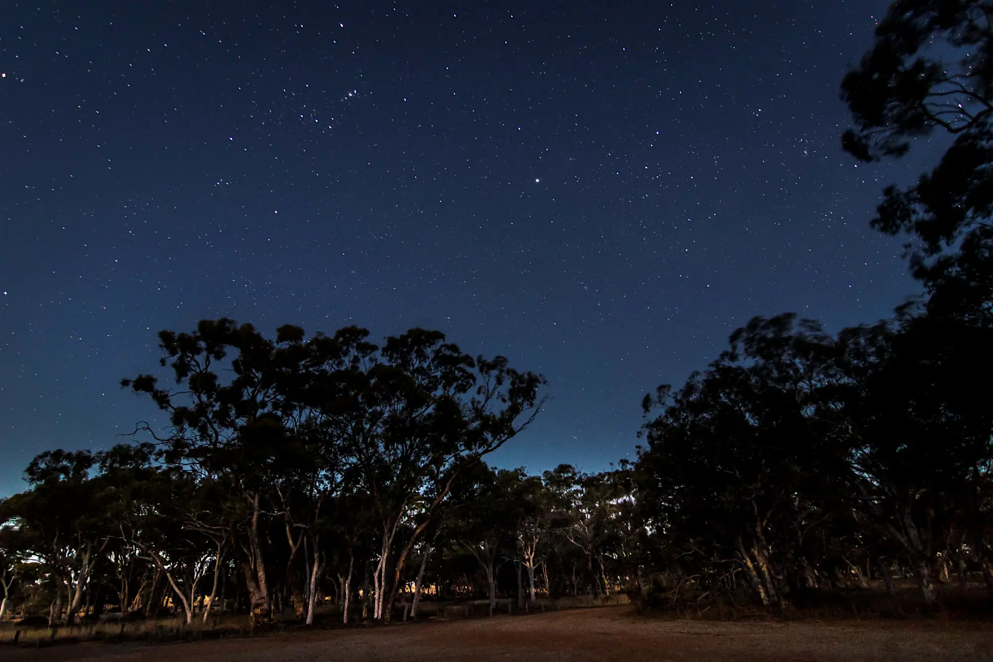 Travel News - Koojan Salmon Gum Reserve Starry sky in Western Australia.