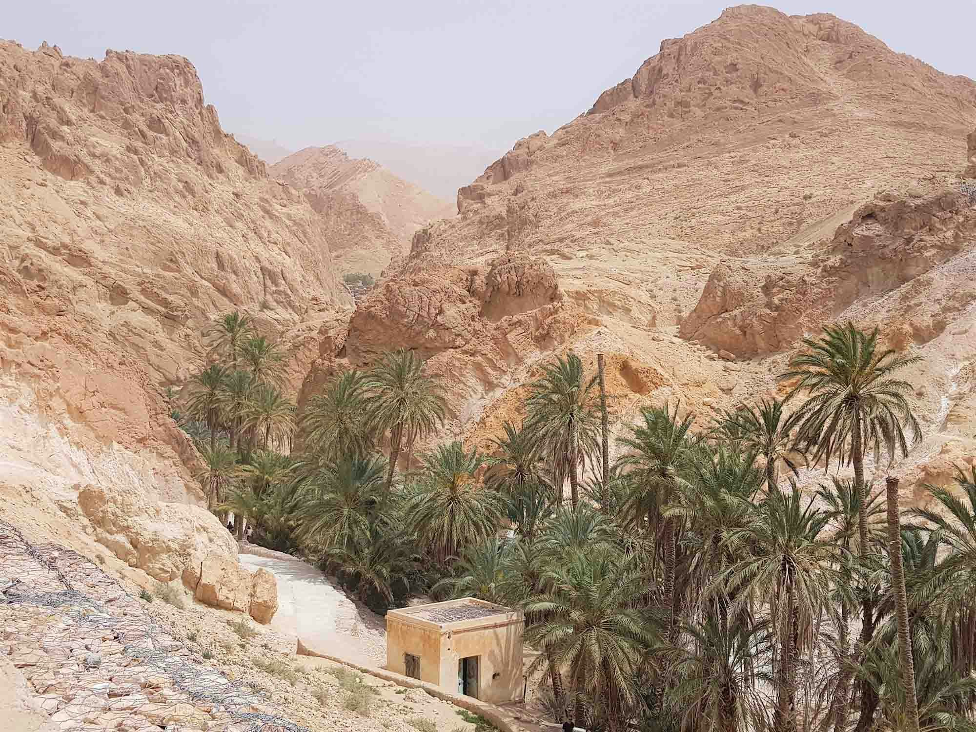 Visit ther jaw-dropping canyons of Tamerza