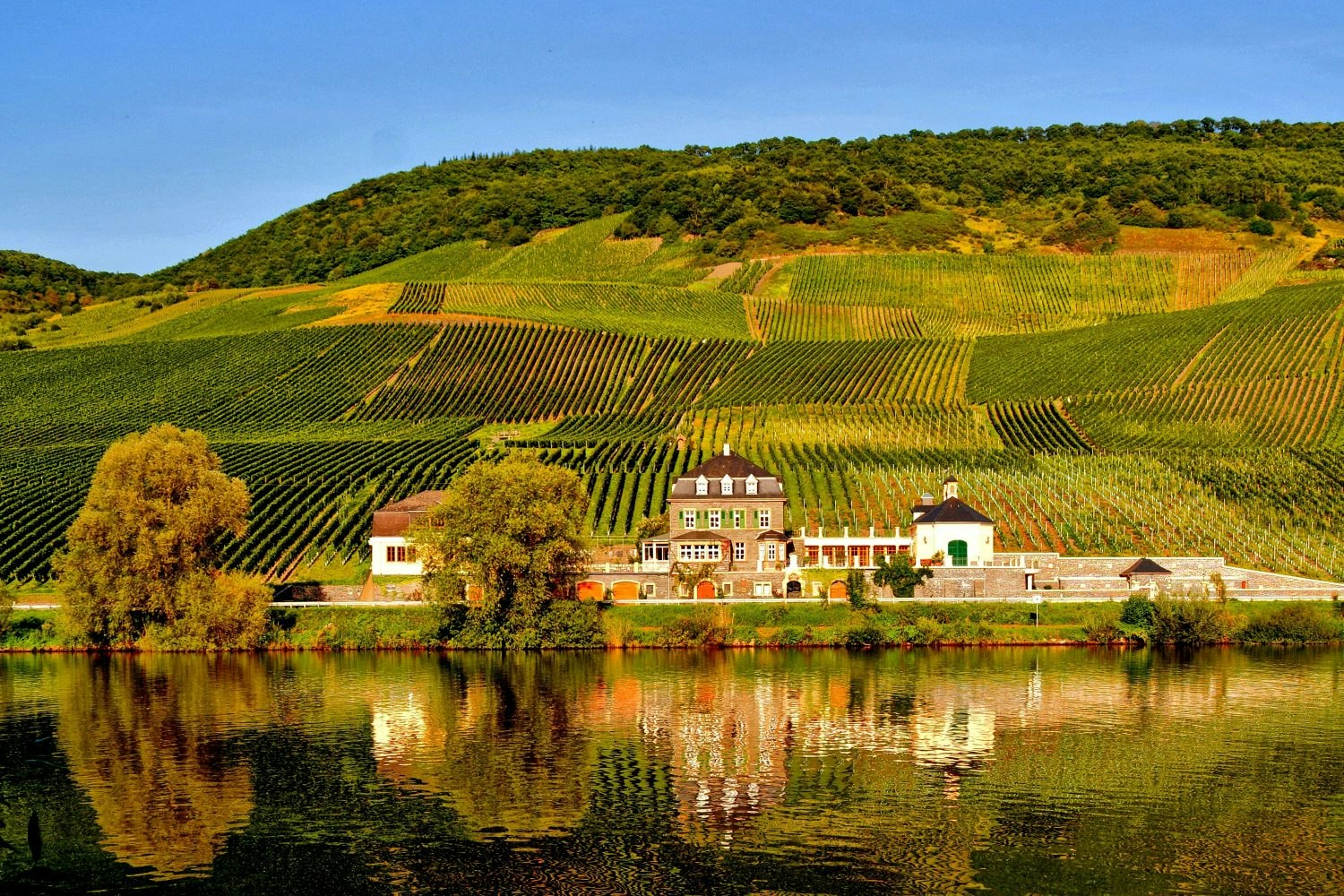 The exterior of Weingut Dr. Loosen in Germany