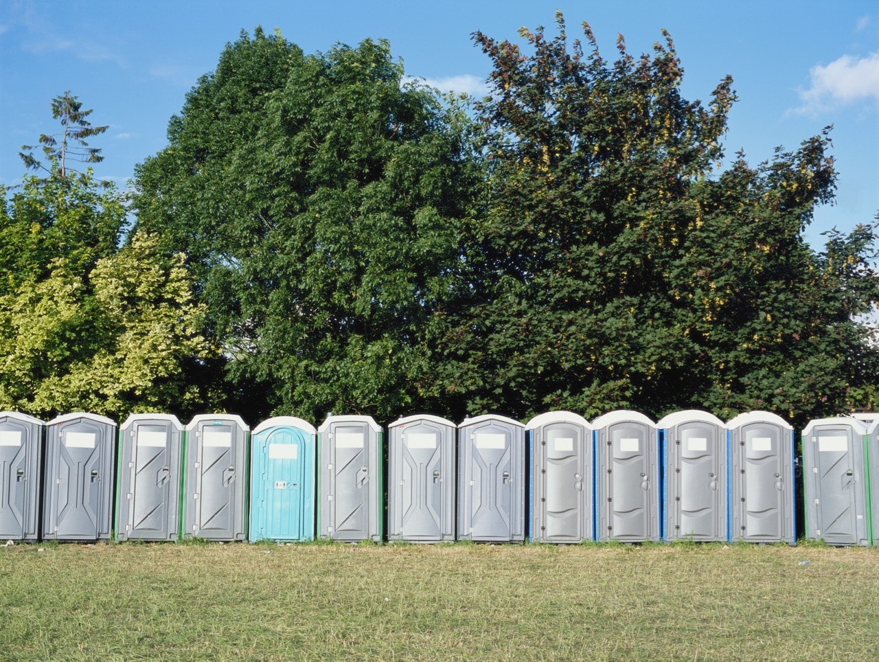 Portable toilet cubicles lined up at edge of trees