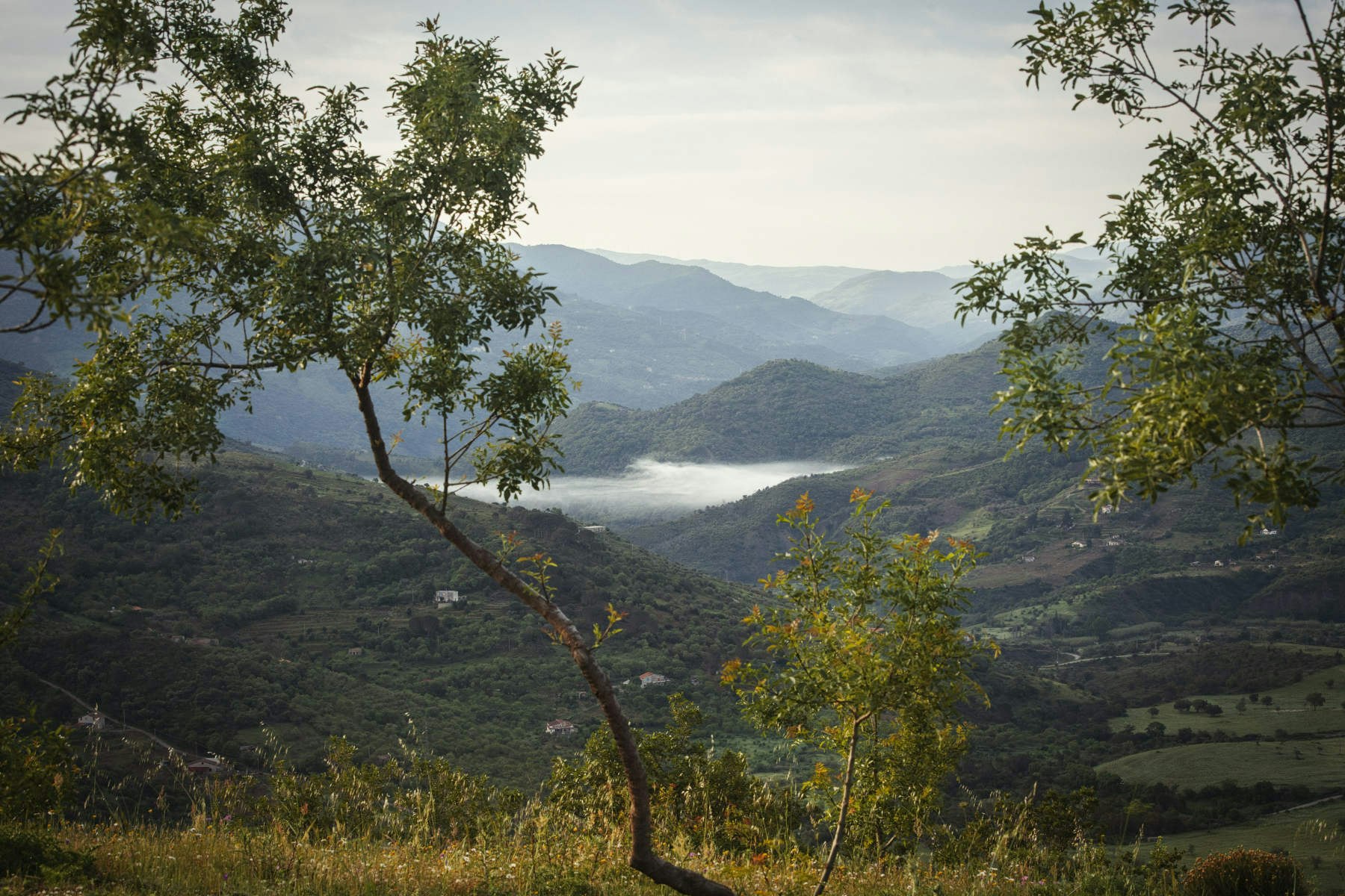 Travel News - sicilypark